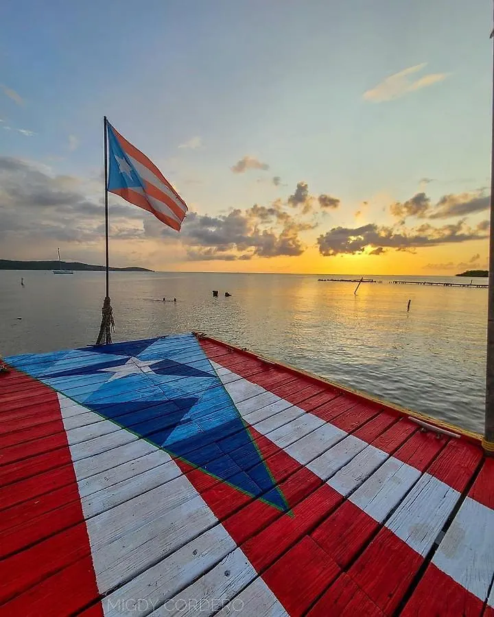 Atoas - Lovely Vacation Retreat With Pool And Barbecue 5 Min To Boqueron And Beaches Cabo Rojo Apartment